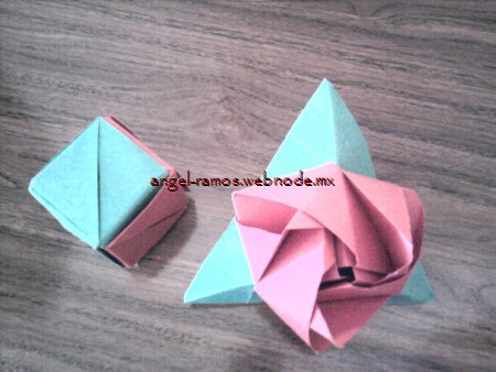 Cubo-Rosa.