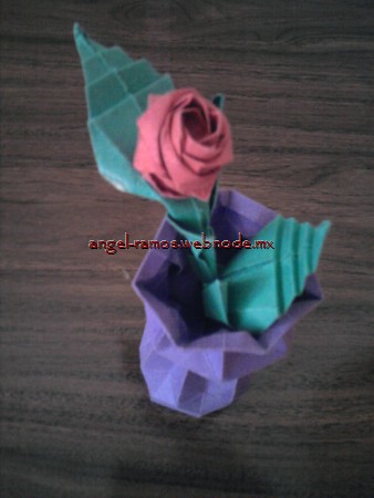 Rosa en jarrón.