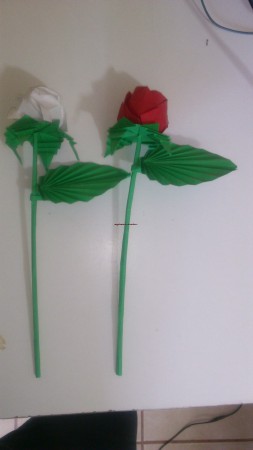 Rosas.